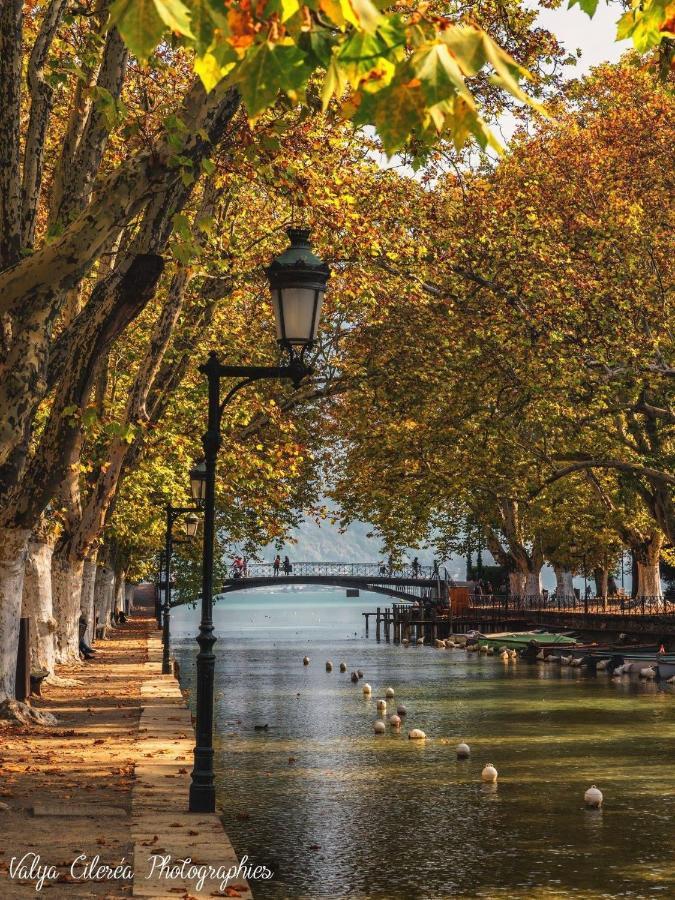 La Madeleine Apartment Annecy Luaran gambar